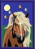 Haflinger im Mondschein