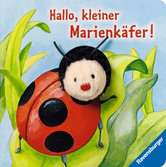 Hallo, kleiner Marienk�fer!