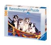 Husky Welpen