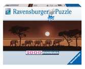 Elefanten in der Savanne