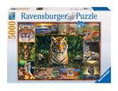 Welt der Tiger