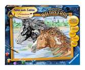 Anmutige Wildpferde