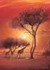 Afrika