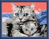 Katzenliebe